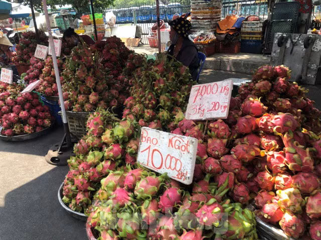 Thanh long cũng rớt giá, chỉ còn 10.000 đồng/kg, mua 3kg giá 20.000 đồng. Thanh long chất các quầy sọt đỏ rực một góc chợ