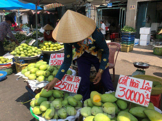 ##s###Trong khi đó, xoài chín vụ cũng đang trong tình cảnh "cung vượt cầu" khi không thế xuất khẩu. Tại khu chợ cạnh bến xe Chợ Lớn, xoài cát Hòa Lộc loại 1 giá chỉ 25.000-30.000 đồng/kg.