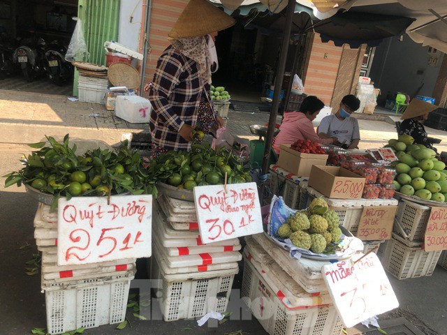 ##s###Quýt đường thường đắt vào dịp hè do nhu cầu người dùng mua trái cây này tăng cao. Tuy nhiên năm nay ngược lại, quýt đường cao nhất chỉ 30.000 đồng/kg (loại to, còn nguyên lá tươi) nhưng không mấy khách mua.