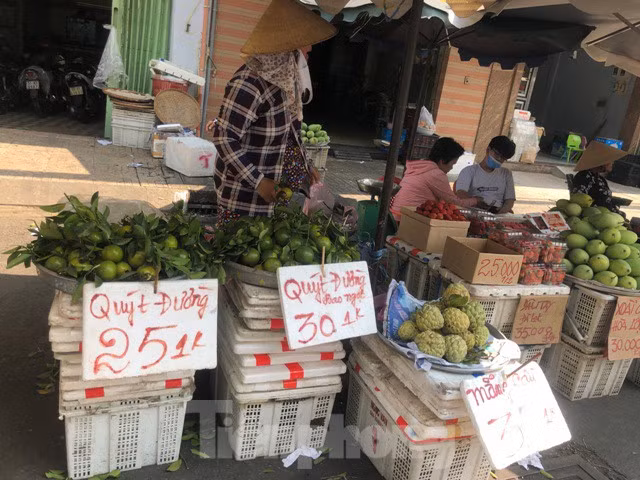 Quýt đường thường đắt vào dịp hè do nhu cầu người dùng mua trái cây này tăng cao. Tuy nhiên năm nay ngược lại, quýt đường cao nhất chỉ 30.000 đồng/kg (loại to, còn nguyên lá tươi) nhưng không mấy khách mua.