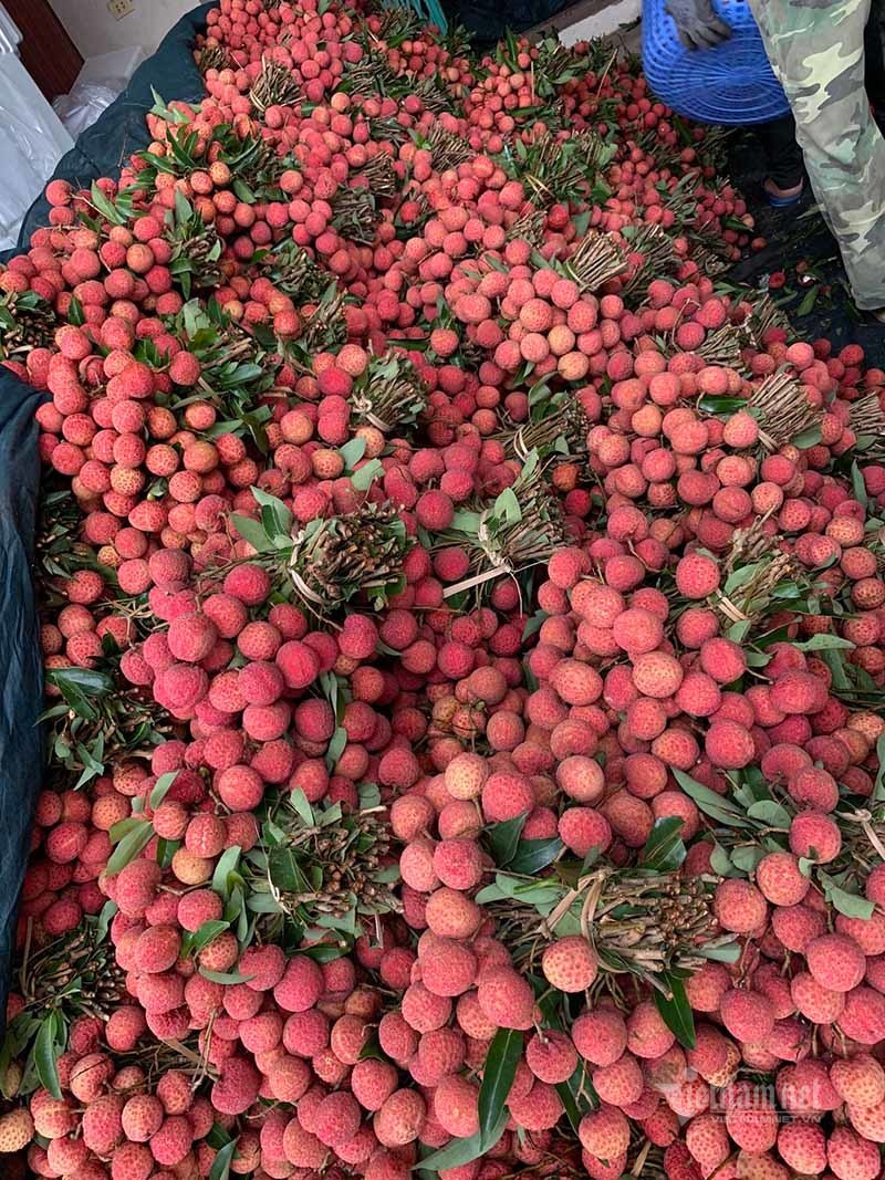 Khu cho dai 20km, 4.000 ty trao tay qua mau giay nho-Hinh-12