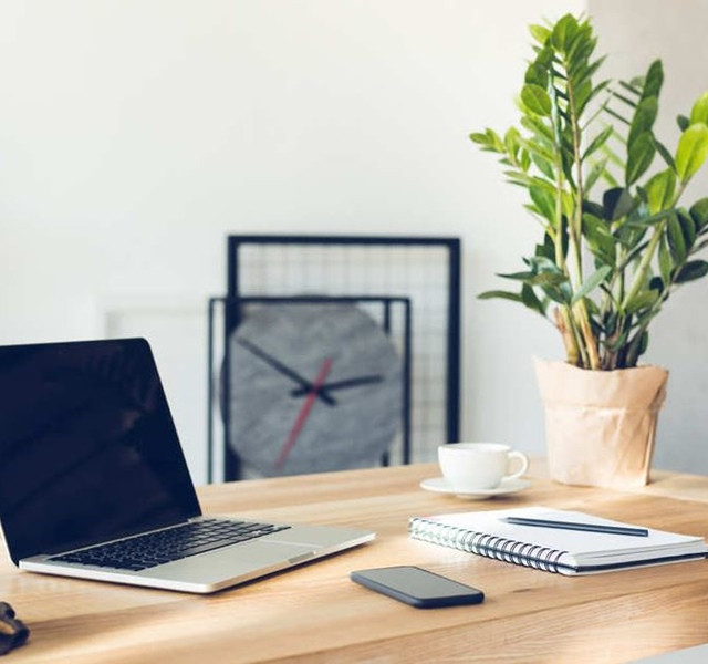 Cac mau cay canh de ban dep, hop tuoi, hop menh phong thuy-Hinh-3