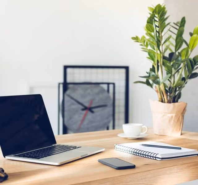 Cac mau cay canh de ban dep, hop tuoi, hop menh phong thuy-Hinh-3