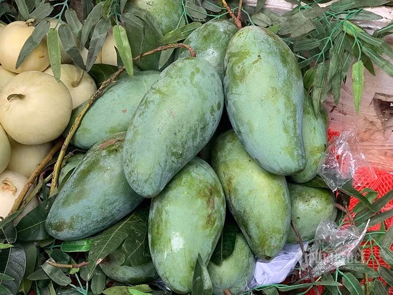 Xoai khong lo xuat hien tran khap cho Ha Noi-Hinh-7