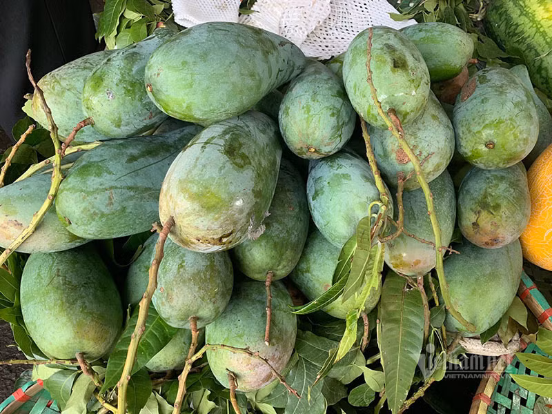 Xoai khong lo xuat hien tran khap cho Ha Noi-Hinh-5