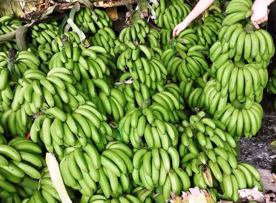 Loai chuoi xau chua tung co nhung an lai cuc ngon-Hinh-4