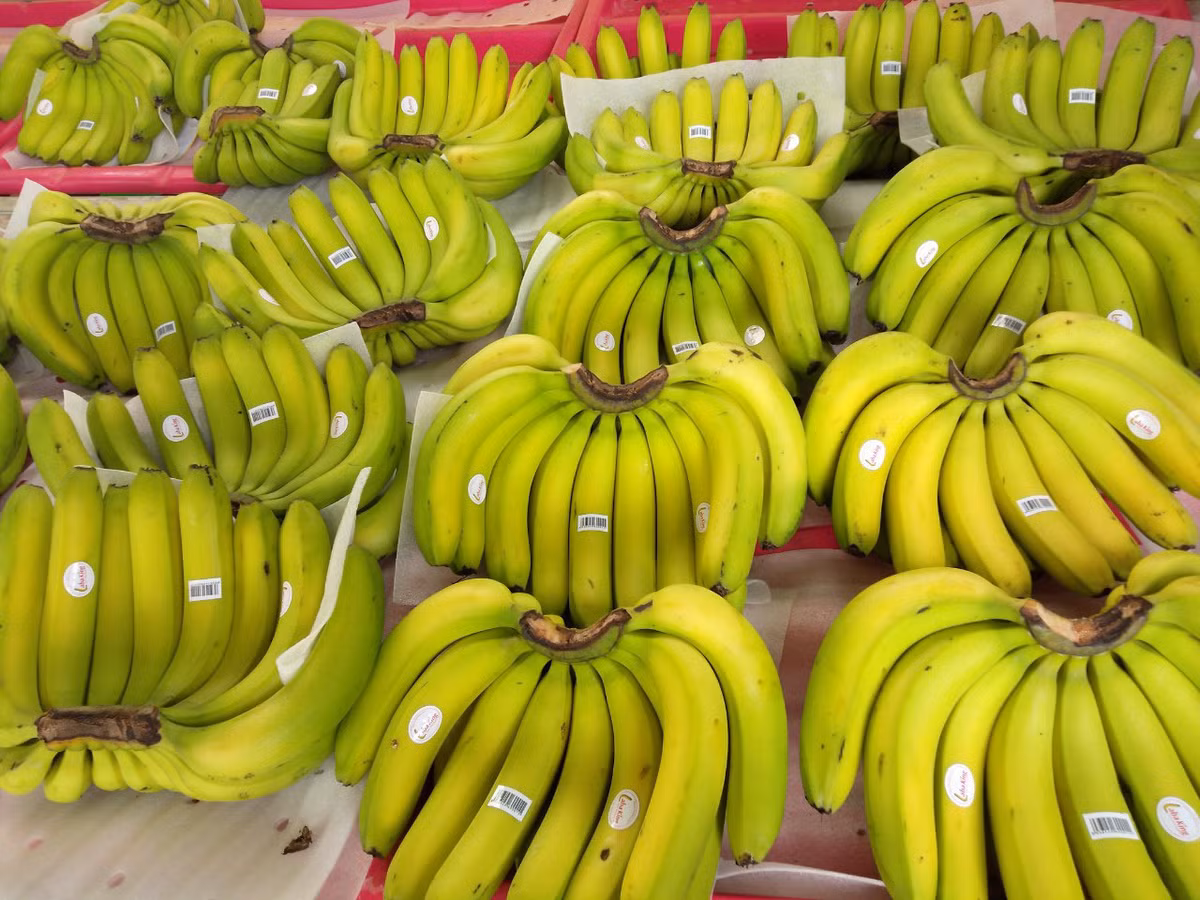 Loai chuoi xau chua tung co nhung an lai cuc ngon-Hinh-5