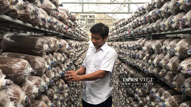 Trong nam cong nghe cao, anh ky su dien thu 2 ty moi nam-Hinh-2