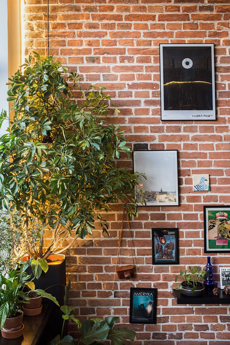 Cây xanh còn đóng vai trò như lớp lọc không khí, ngăn cản tiếng ồn từ bên ngoài vọng vào.