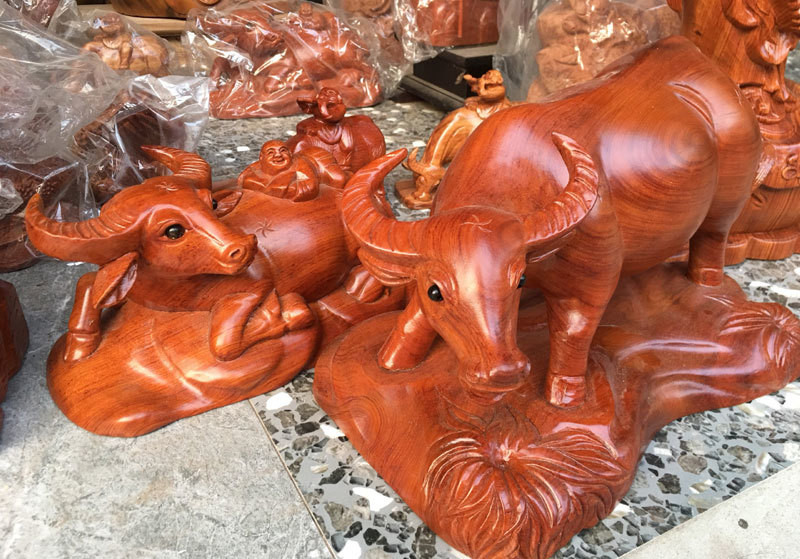 Ban dan trau thu ngay 300 trieu dong an Tet