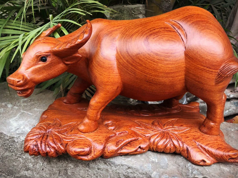 Ban dan trau thu ngay 300 trieu dong an Tet-Hinh-2