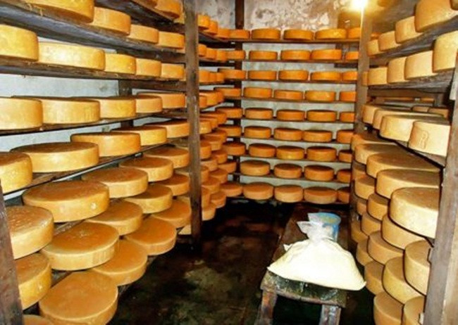 Trông như que củi, cắn muốn gãy răng thành đặc sản được lùng mua - Hình 5 Trong nhu que cui, can muon gay rang thanh dac san duoc lung mua-Hinh-5