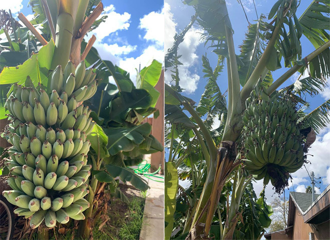 Sang Mỹ bán hàng online, cuộc sống của Hoàng Anh giờ ra sao? ảnh 6