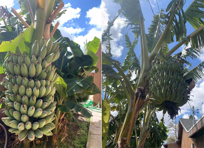 Sang Mỹ bán hàng online, cuộc sống của Hoàng Anh giờ ra sao? ảnh 6