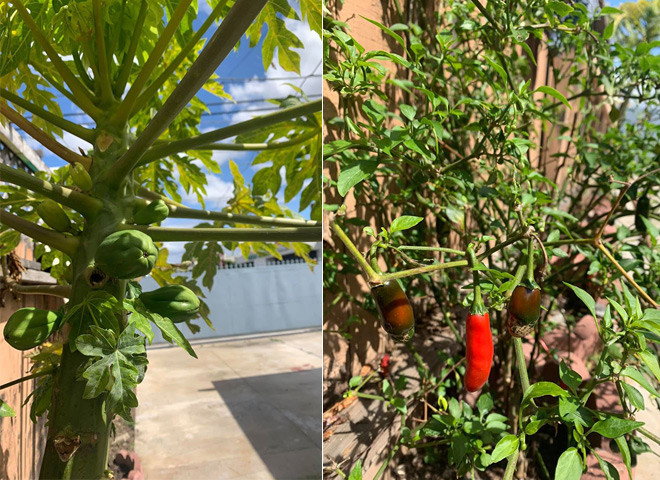 Sang Mỹ bán hàng online, cuộc sống của Hoàng Anh giờ ra sao? ảnh 5