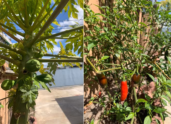 Sang Mỹ bán hàng online, cuộc sống của Hoàng Anh giờ ra sao? ảnh 5