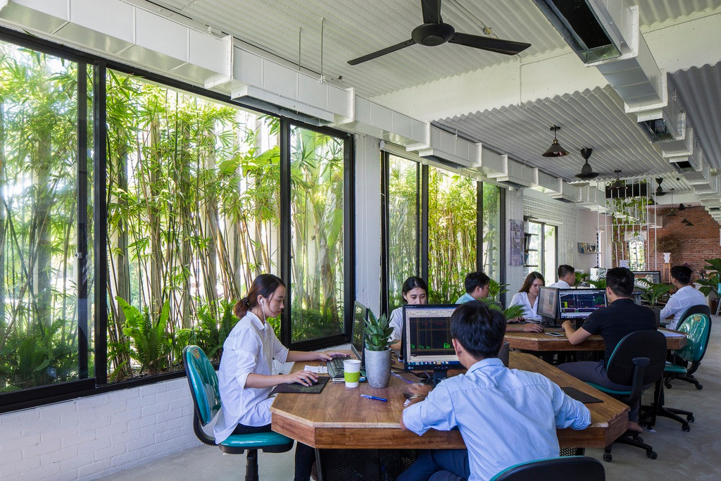 Ý tưởng của KTS là thiết kế công trình gợi cảm giác xưa cũ của làng quê trong một văn phòng hiện đại, giúp con người làm việc tại đây cảm thấy mình như một phần của thiên nhiên.