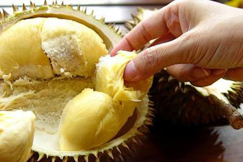 Thực phẩm "đại kỵ" với sầu riêng, ăn chẳng khác nào tích "chất độc" Thuc pham