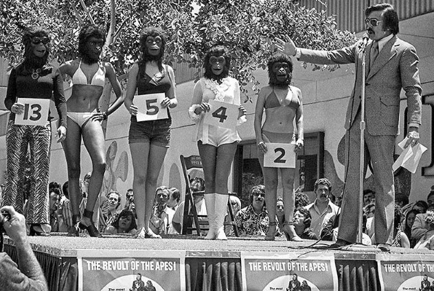 Cuộc thi Miss Beautiful Ape diễn ra vào năm 1972, trùng với việc phát hành bộ phim Conquest of the Planet of the Apes. Hầu hết thí sinh đều mặc bikini và tất cả đeo mặt nạ vượn công phu. Người chiến thắng trong cuộc thi là Dominique Green (thí sinh số 2), đã giành được một vai trong bộ phim Battle for the Planet of the Apes khởi quay sau đó. Ảnh: Los Angeles Times.