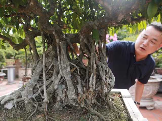 Anh ban hang rong chi 16 ty mua cay sanh Tien lao giang tran-Hinh-10