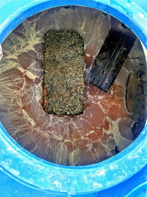 'Doc chieu' trong rau qua tu sua chua het 'dat'-Hinh-2