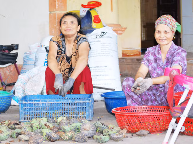Dan bo lam an xa ve lang kiem tien trieu nho 1 loai hoa-Hinh-8