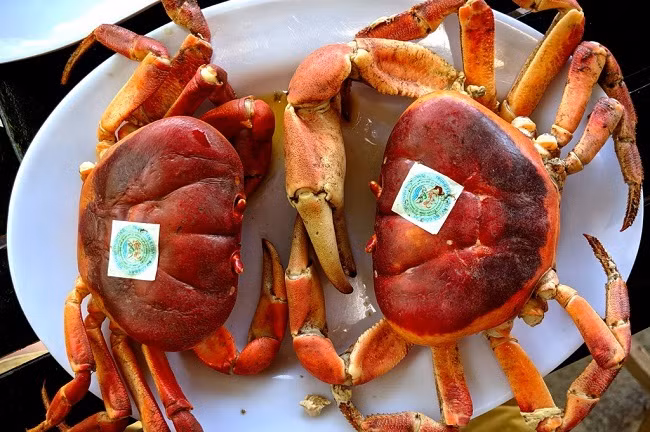 Loai cua mui thuoc bac, dat hon cua huynh de-Hinh-3