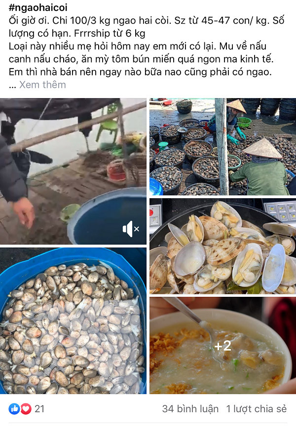 Sieu thi va shop online len ke hoach giai cuu ngao coi sieu re