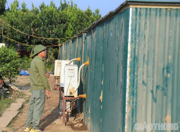 Dao tien vua nam phong dieu hoa cho Tet Nguyen dan