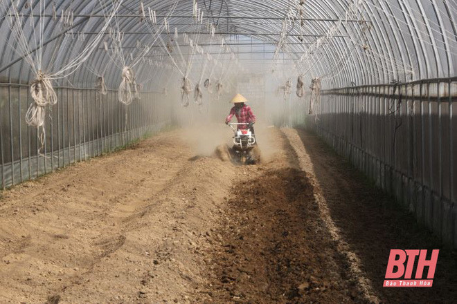 Vo chong Viet kieu bo tien ty lam... nong dan chinh hieu-Hinh-9