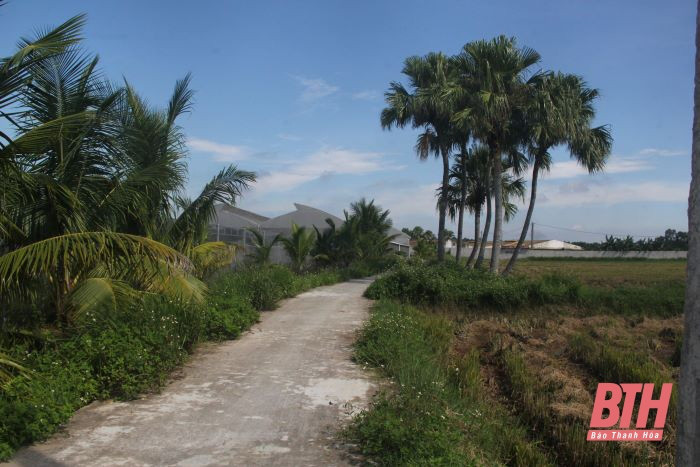 Vo chong Viet kieu bo tien ty lam... nong dan chinh hieu-Hinh-2