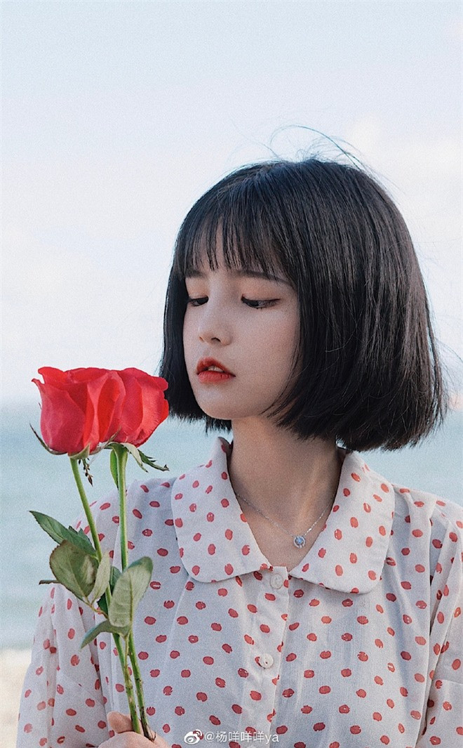 Minh chứng cho việc con gái để tóc ngắn "nhìn là yêu" - Hình 5 Minh chung cho viec con gai de toc ngan