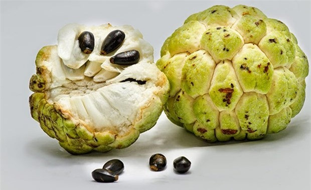 Ăn na kiểu này không khác gì dùng thuốc độc tự "giết" cơ thể ảnh 2 Ăn na kiểu này không khác gì dùng thuốc độc tự "giết" cơ thể ảnh 2