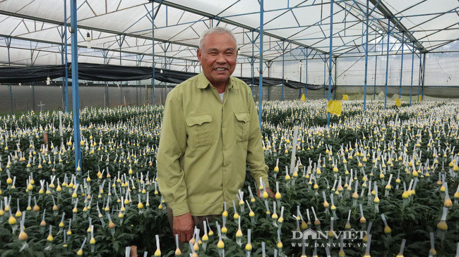 Lao nong choi troi, bo 75 cay vang mua dat chi de trong hoa