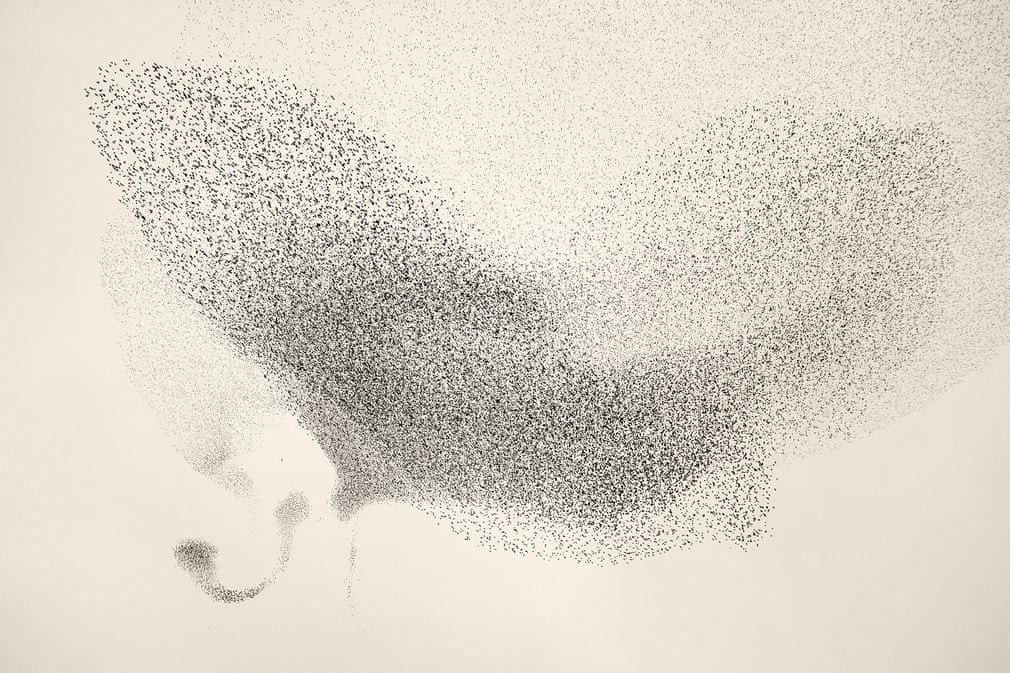 Với cách di chuyển linh hoạt này, mỗi con sáo đá phải bao quát hướng đi của 6-7 con khác trong đàn. Thông thường, vào mùa xuân, chúng thường tách đàn theo đôi để xây "tổ ấm". Sau đó, đến mùa thu, đàn sáo lại tụ với nhau.