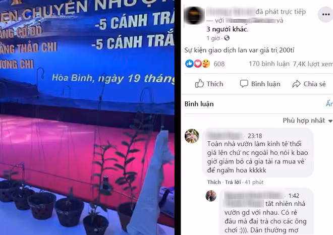 Man giao dich dan hoa lan dot bien tri gia 200 ty-Hinh-2