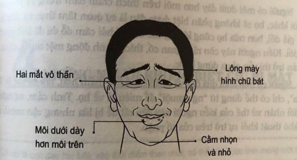 Tuong nguoi luoi bieng thich an san, ai vo phai met moi ca doi