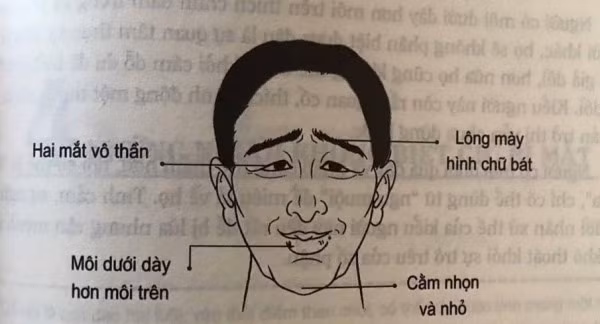 Tuong nguoi luoi bieng thich an san, ai vo phai met moi ca doi