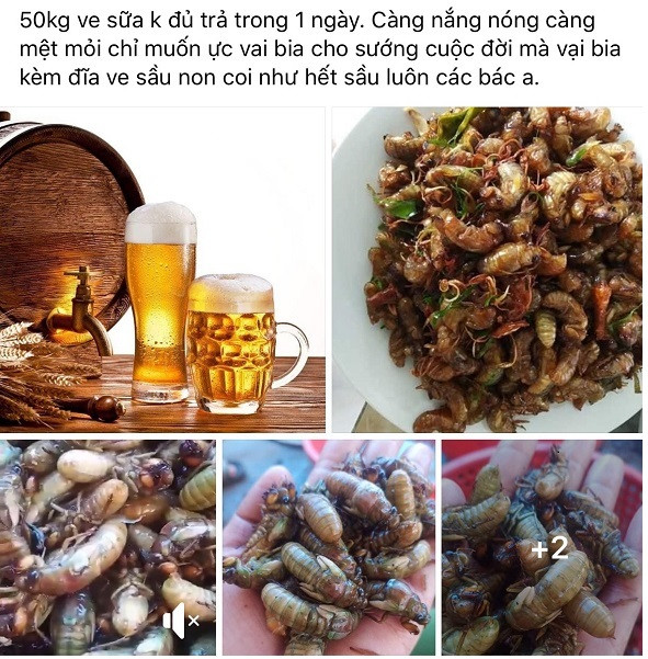 San lung mon nhau mua he kiem ca trieu dong moi dem