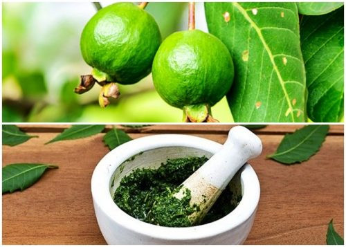 Nhung loi ich than ky doi voi suc khoe khi uong nuoc la oi moi ngay-Hinh-3