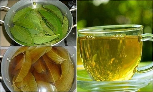 Nhung loi ich than ky doi voi suc khoe khi uong nuoc la oi moi ngay-Hinh-2