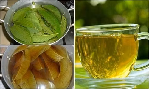 Nhung loi ich than ky doi voi suc khoe khi uong nuoc la oi moi ngay-Hinh-2