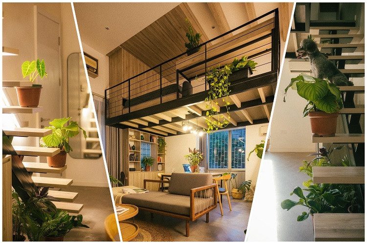 Lot xac can ho 28m2 thanh noi o dep nhu mo voi 200 trieu-Hinh-9