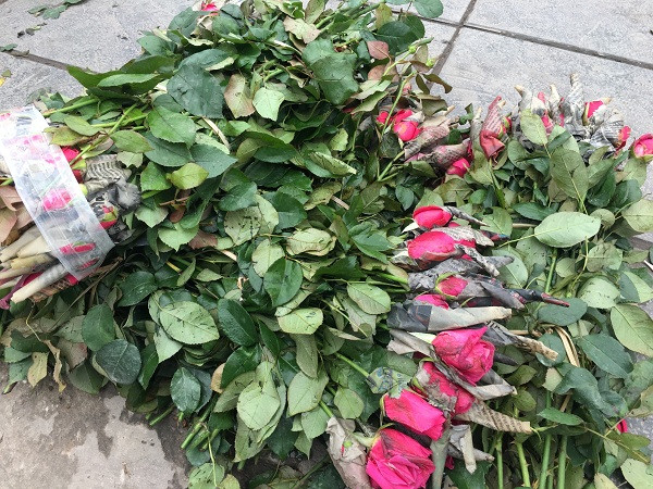 10 nghin dong/50 bong hoa, nong dan Tay Tuu meo mat vi dich-Hinh-2