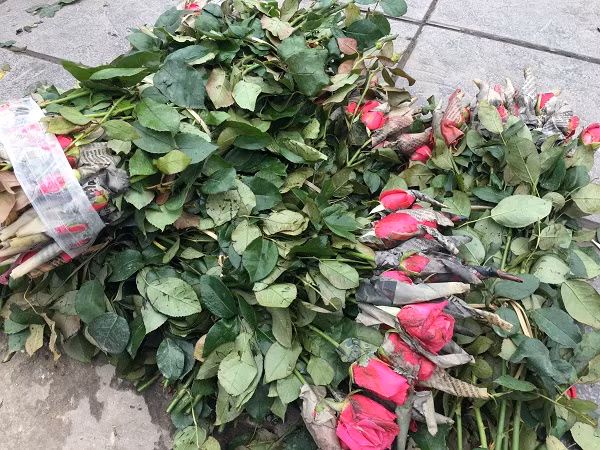 10 nghin dong/50 bong hoa, nong dan Tay Tuu meo mat vi dich-Hinh-2