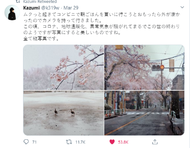 Giua dai dich COVID-19, hoa anh dao Nhat Ban lang le khoe sac-Hinh-7