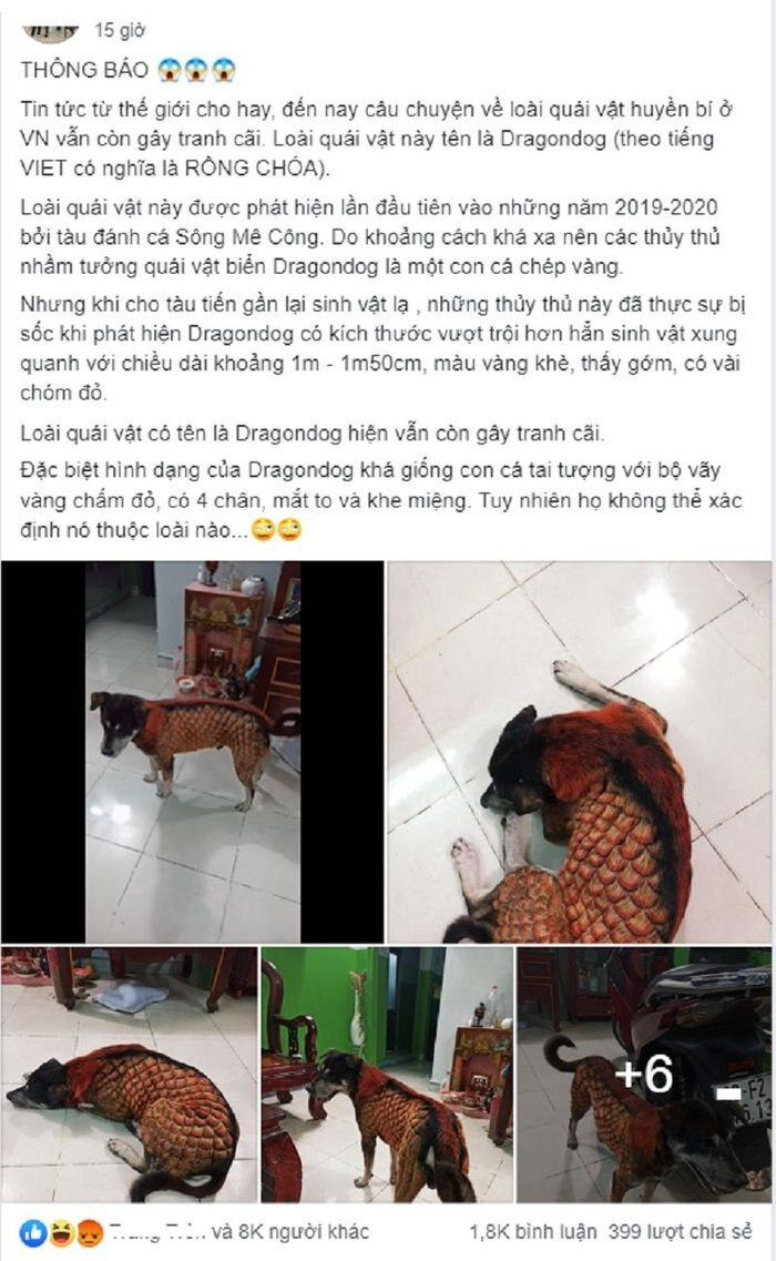 Nam thanh nien bi 'nem da' du doi khi 'bien' chu cho 'hoa rong'