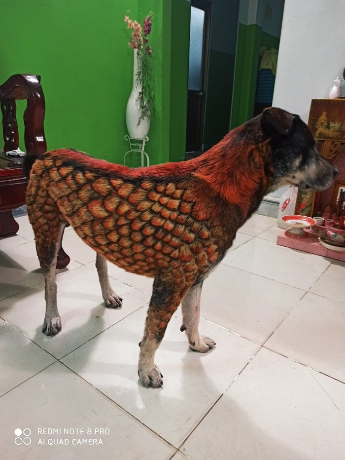 Nam thanh nien bi 'nem da' du doi khi 'bien' chu cho 'hoa rong'-Hinh-3