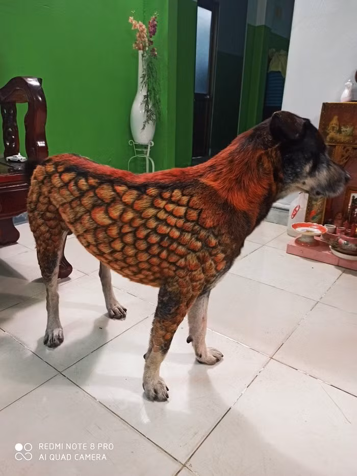 Nam thanh nien bi 'nem da' du doi khi 'bien' chu cho 'hoa rong'-Hinh-3