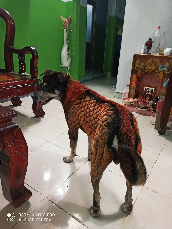 Nam thanh nien bi 'nem da' du doi khi 'bien' chu cho 'hoa rong'-Hinh-5